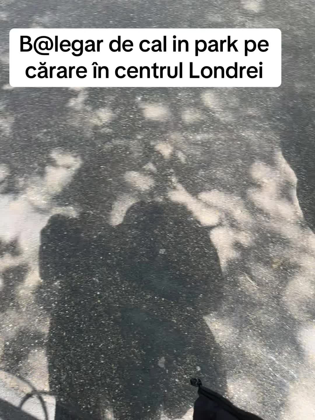 @anisoaradelatara