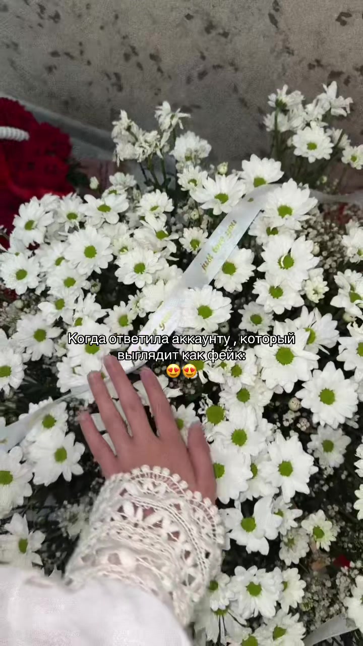 @𝐿🤍