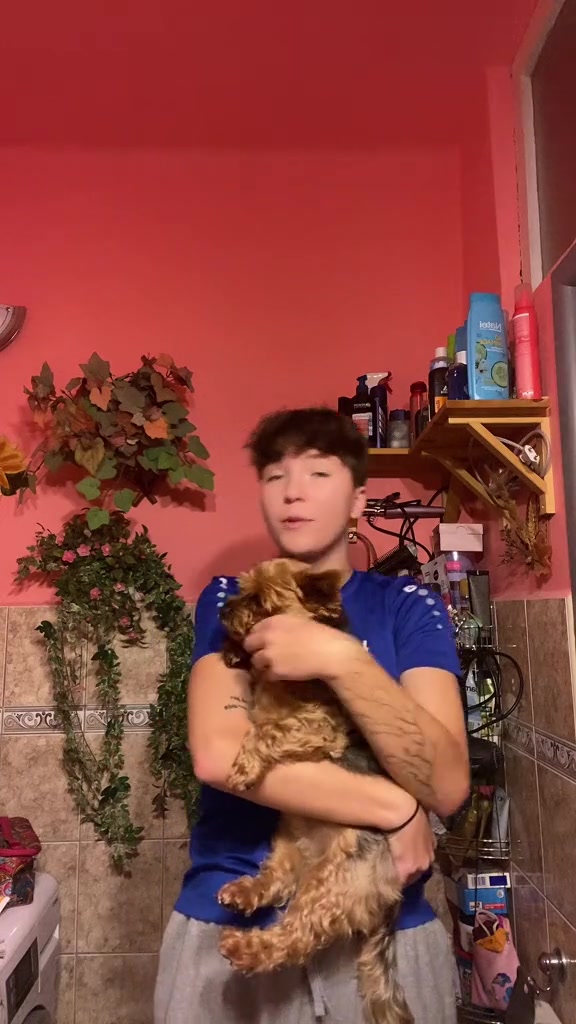 @giggi