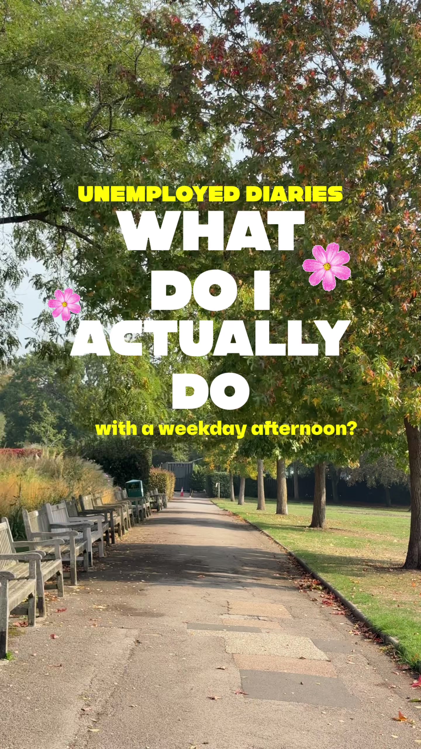@britishblend