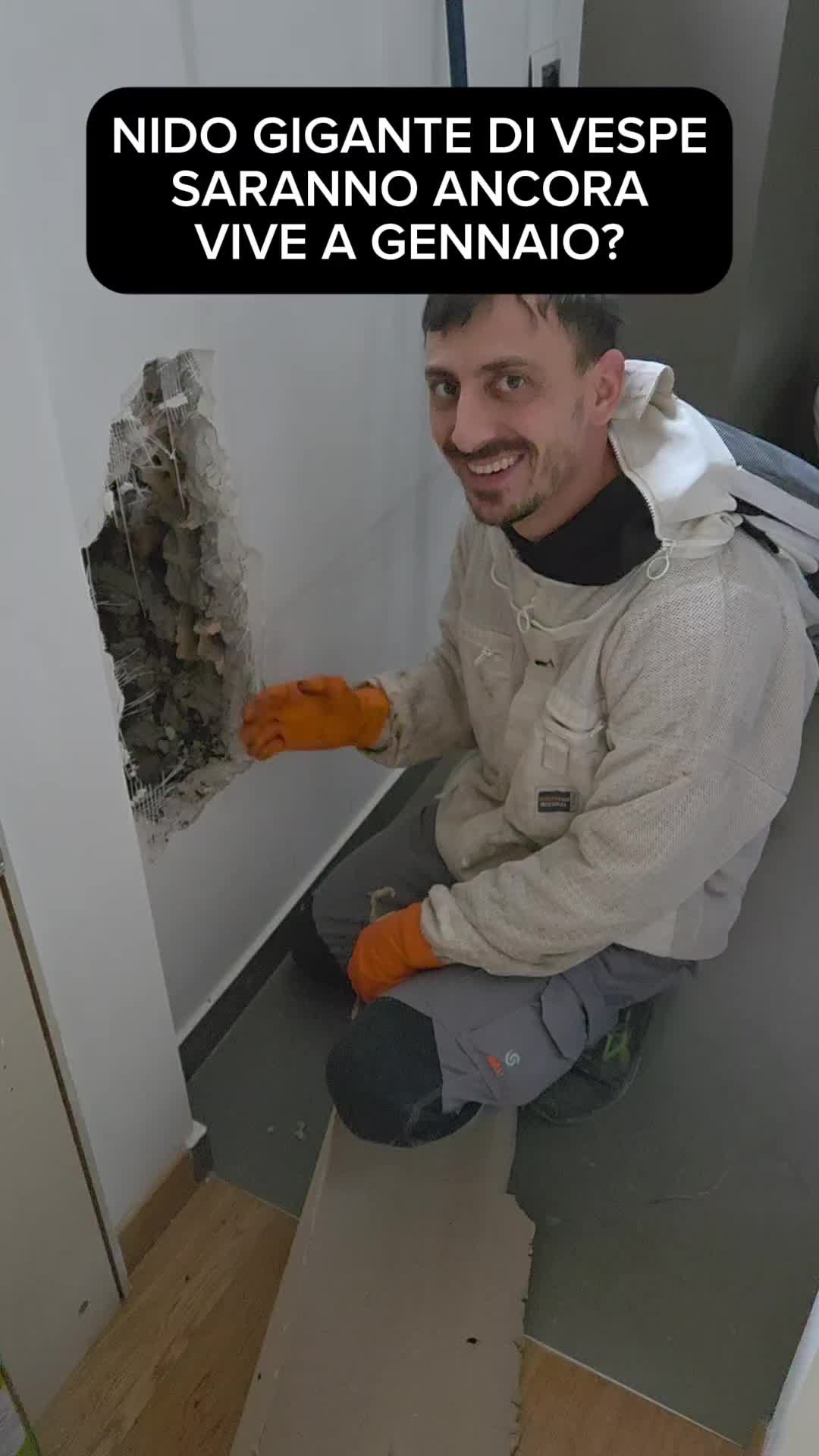@Daniel Palmieri