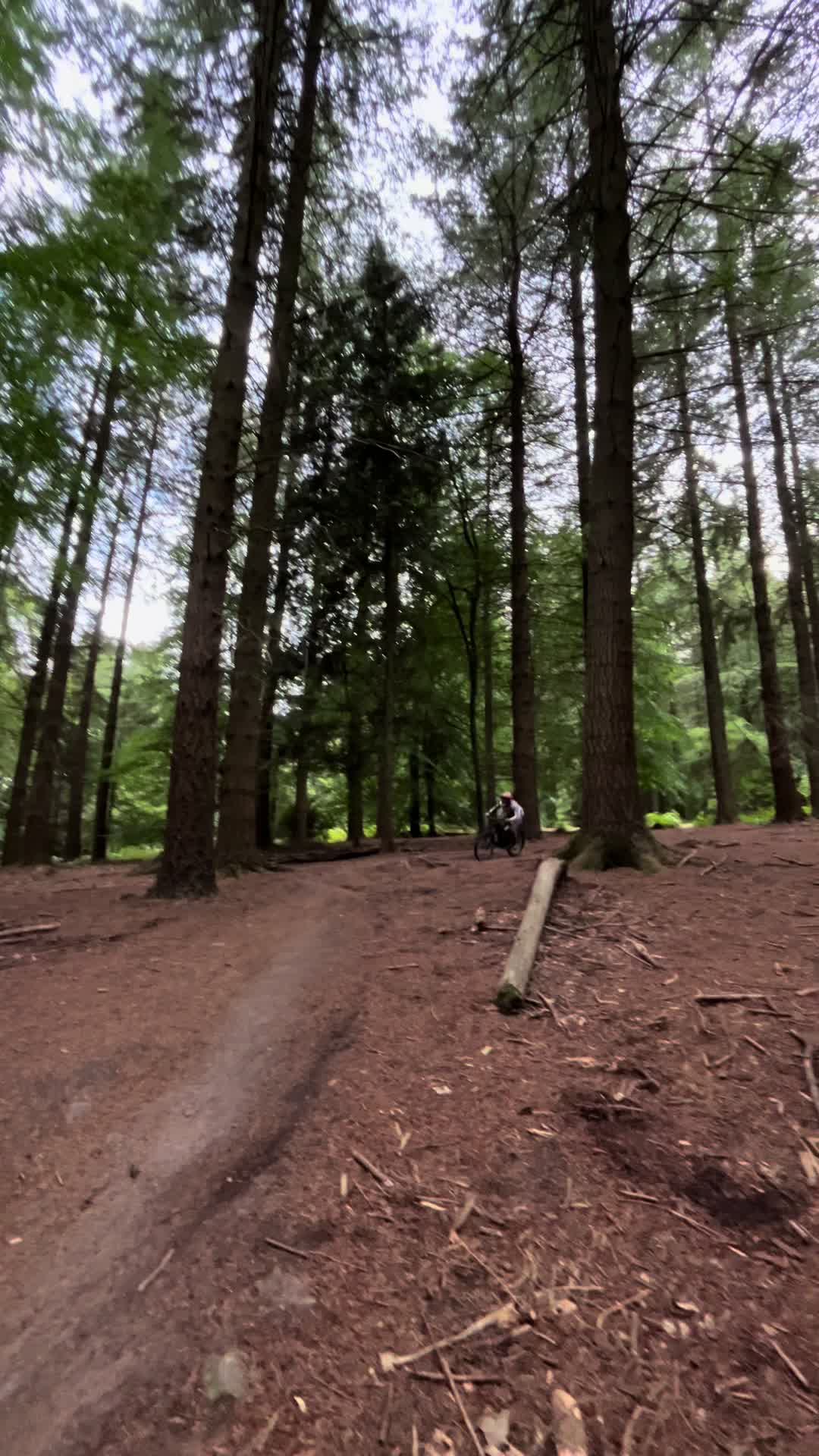 @Elliott_bikes