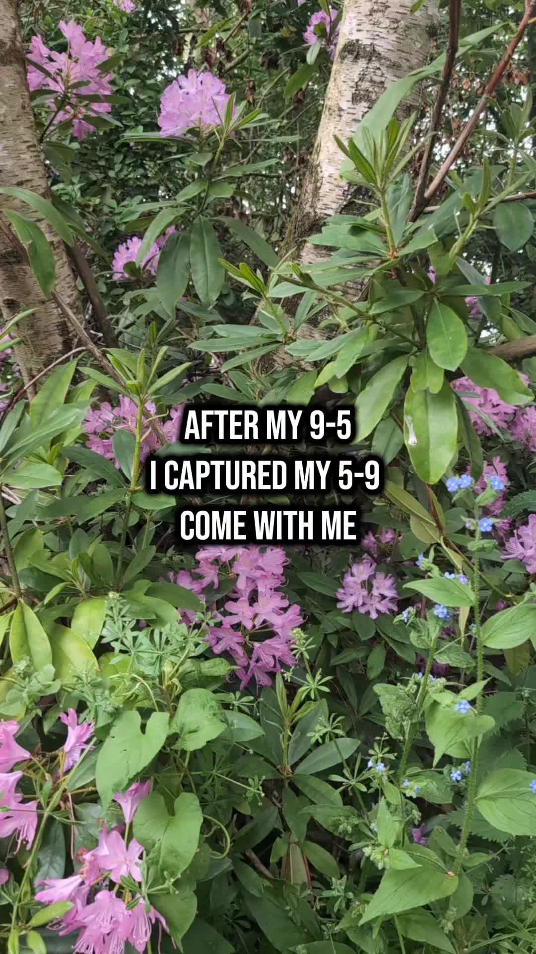 @Girl behind the camera 📸