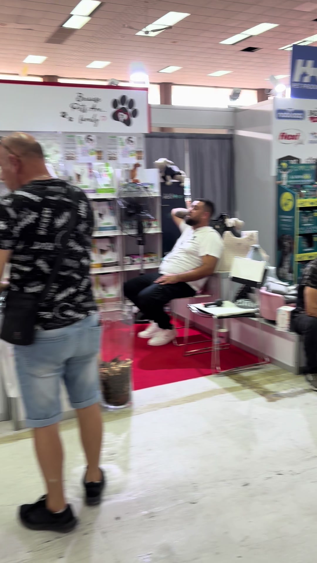 @zizel Bull terrier