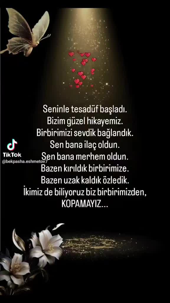 @Mehmet Tas