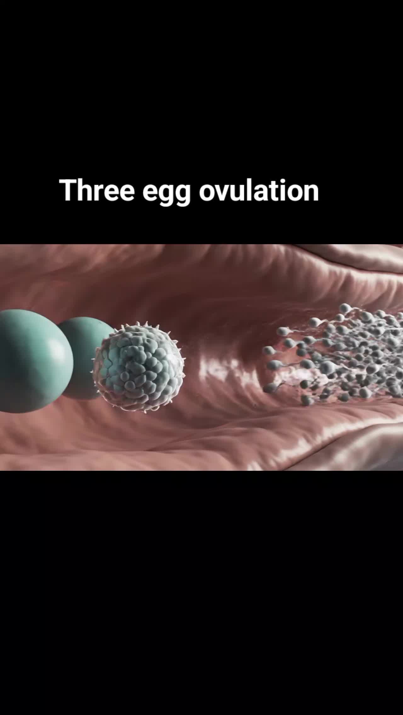 @Pregnancy Info