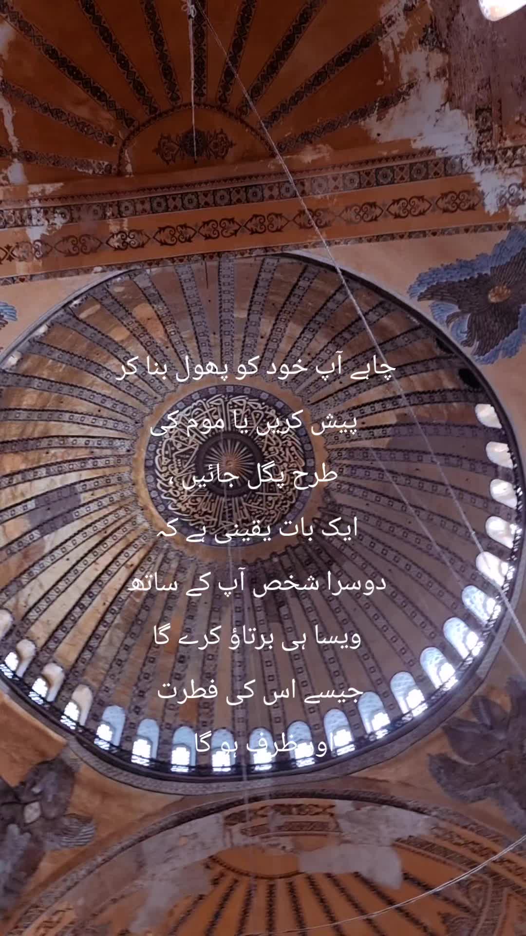@BUSHRA KHAN