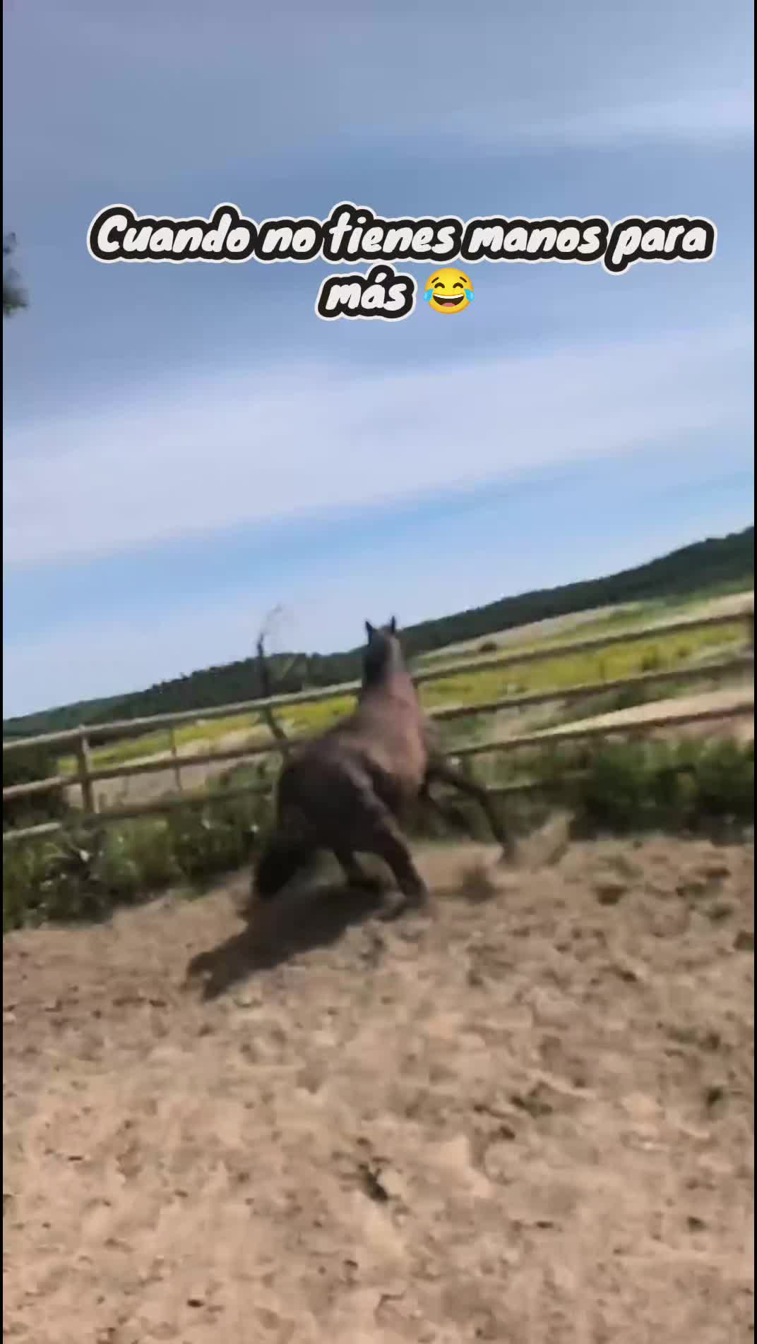 @LA CHICA DEL PONY🐴🌼