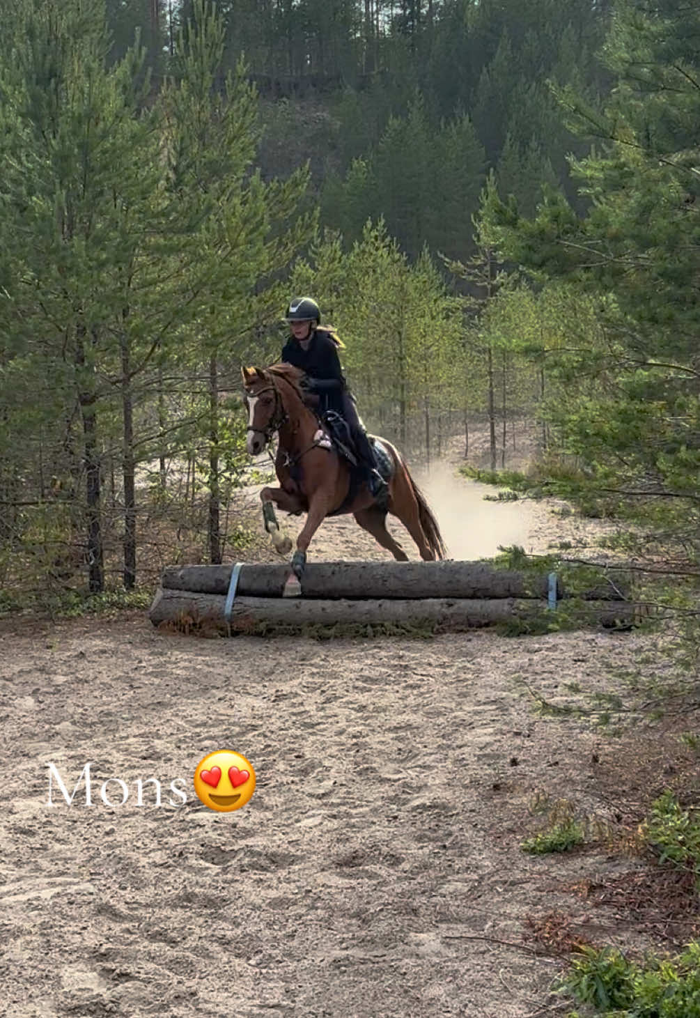 @Equestrian_tiiaa