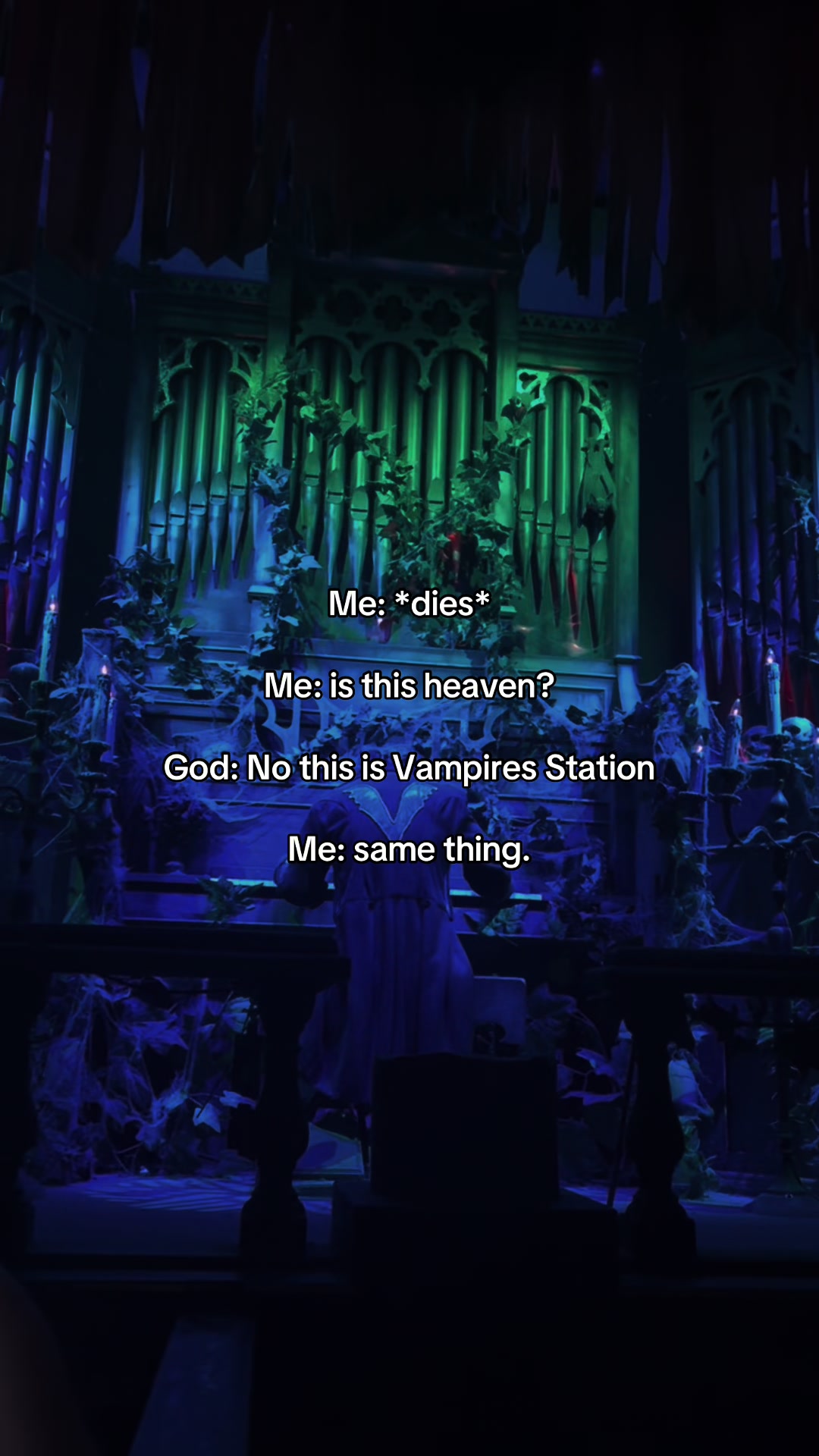 @🦇𝔈𝔩𝔦🦇