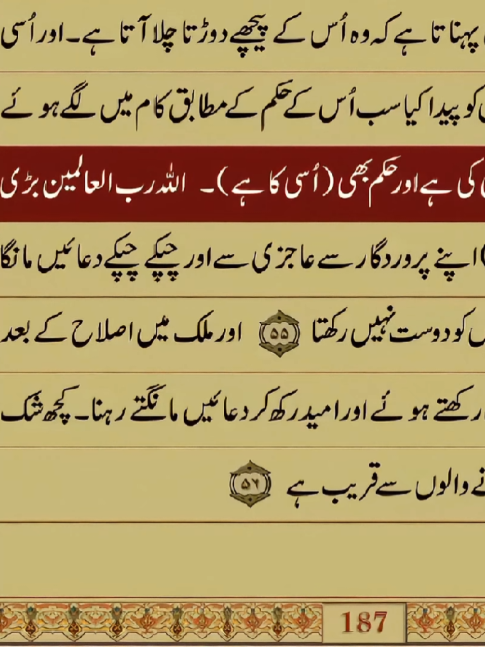 @Junaid Mughal