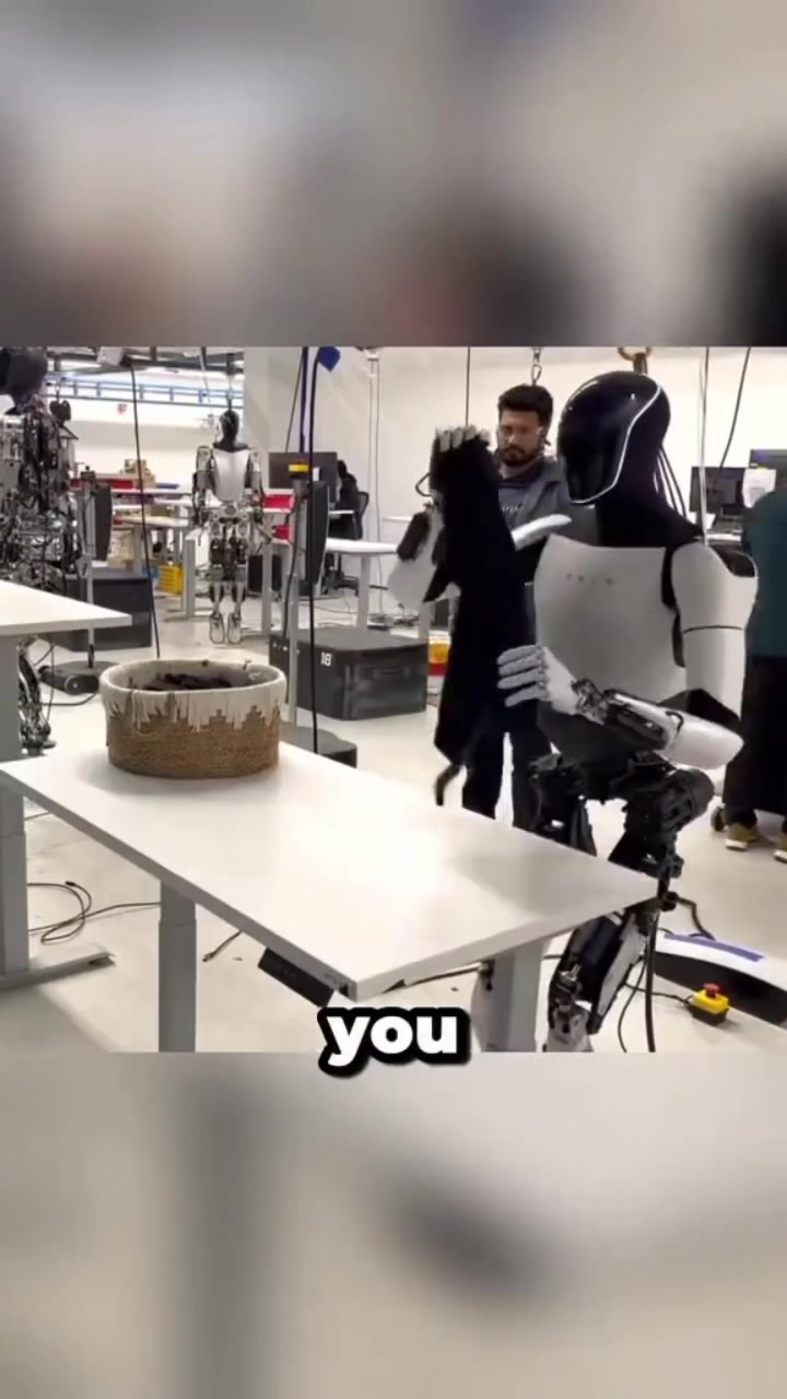 @A.N.T.V
