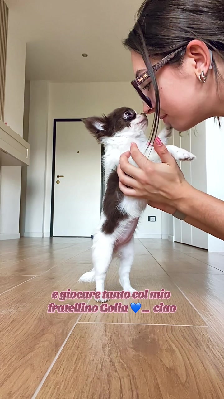 @digaetanosharon