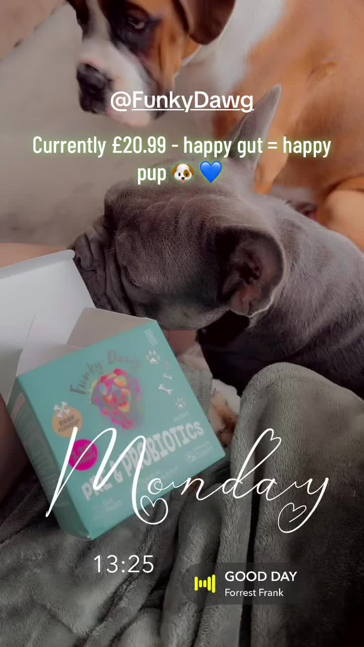 @Tinytalesdaily