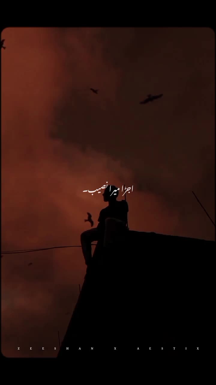 @𝙕𝙀𝙀𝙎𝙃𝘼𝙉 𝙓 𝘼𝙀𝙎𝙏𝙄𝙓