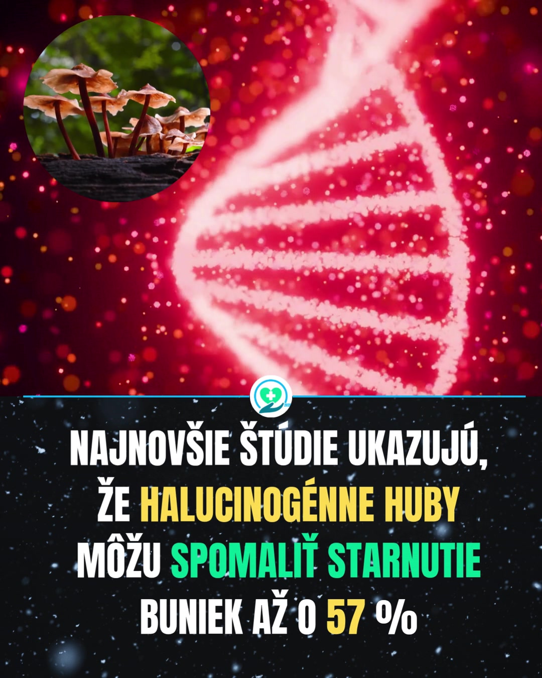 @ZDRAVPOINT