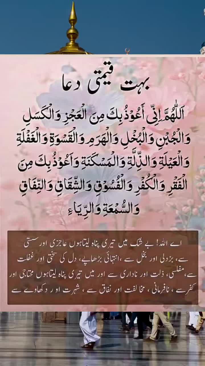 @Misbah Hamid