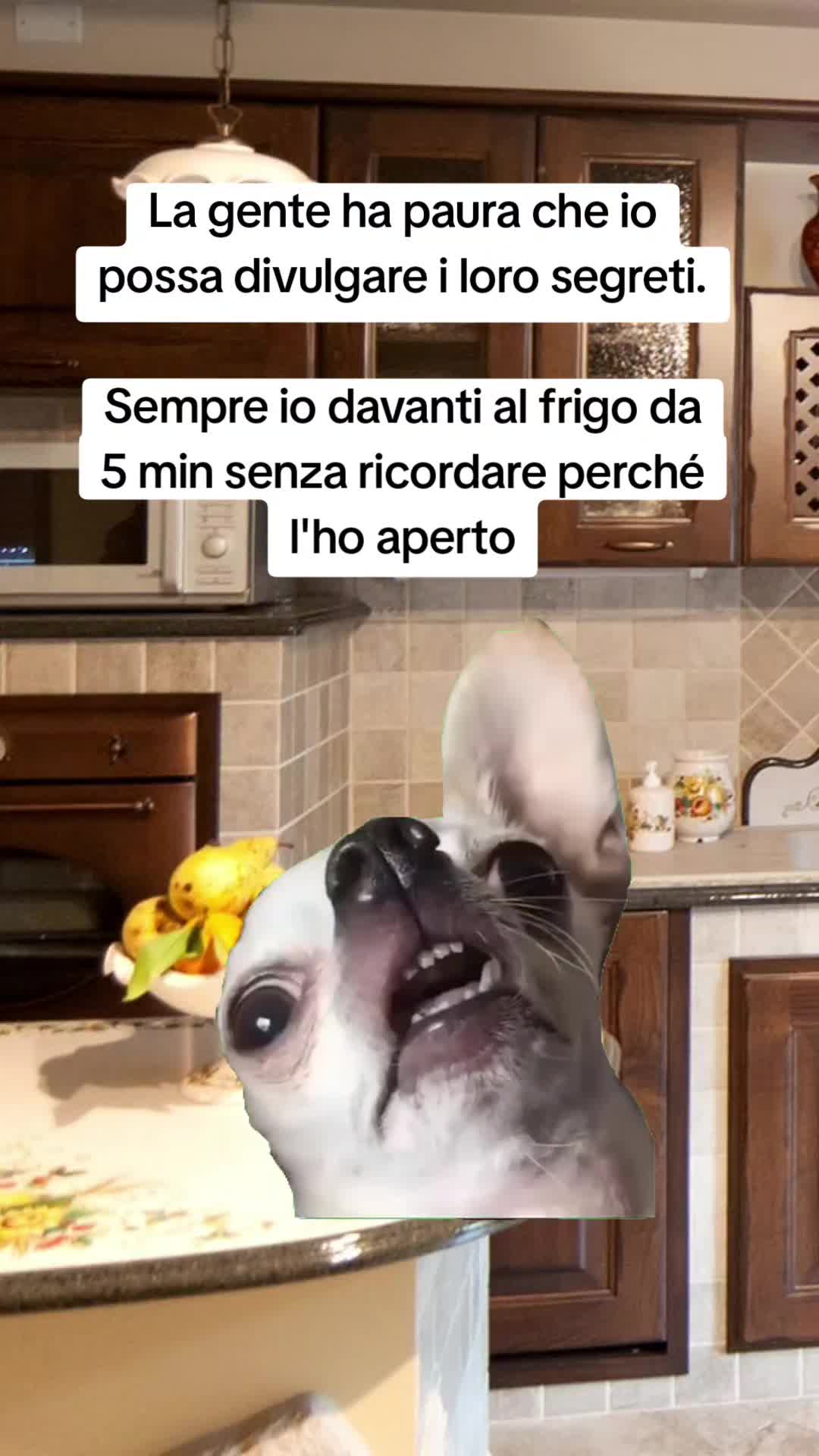 @Catzatte