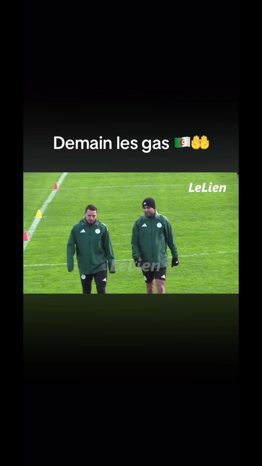 @Dz 🇩🇿