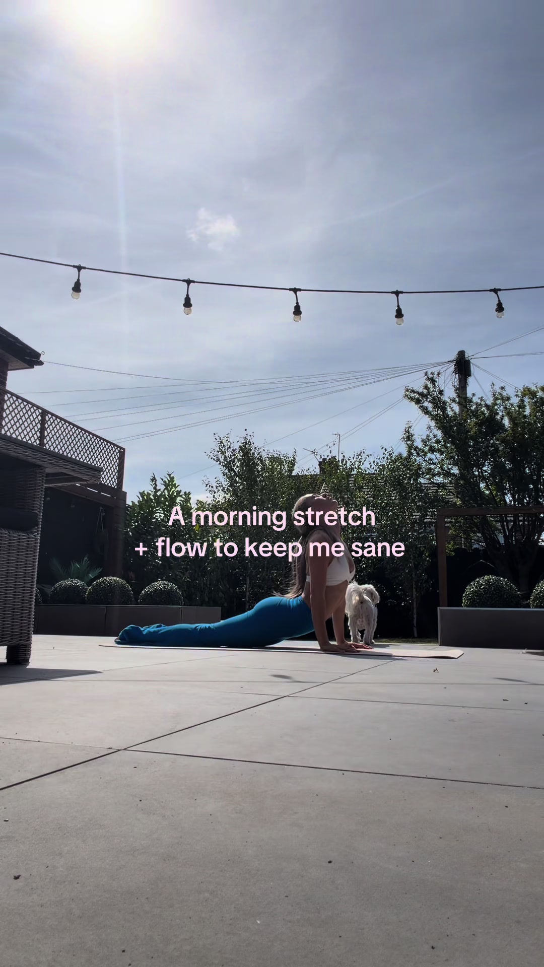 @Poppy