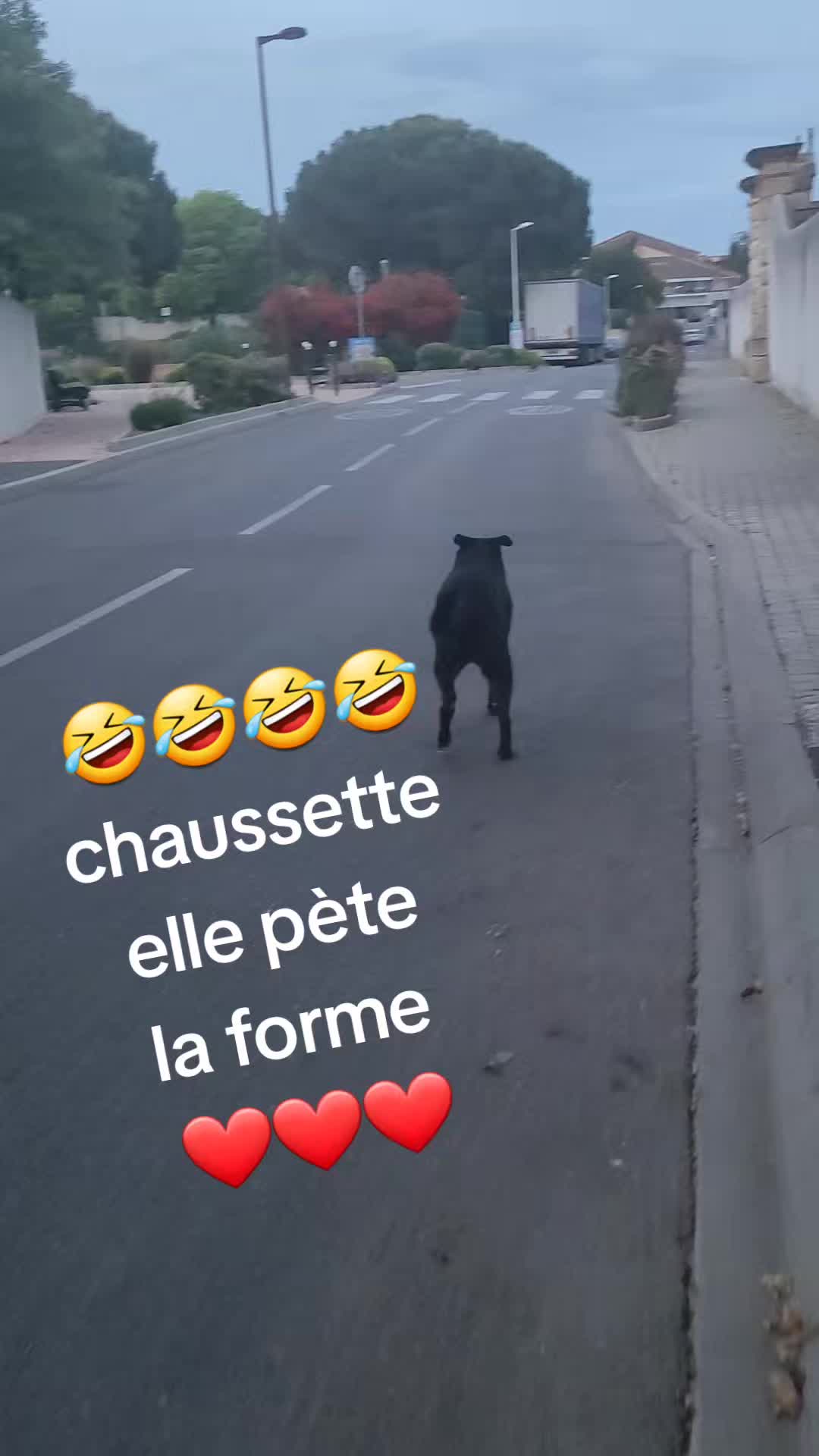 @saperlypopette