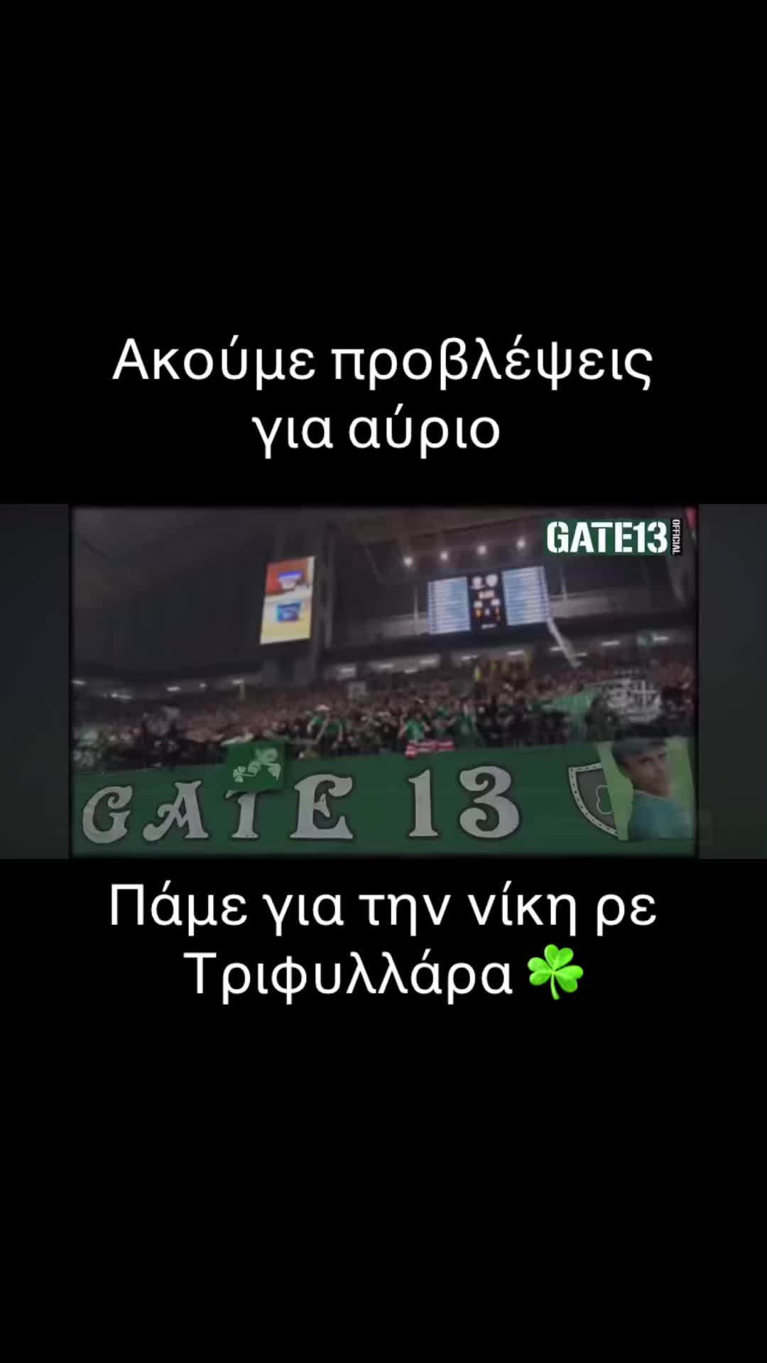 @Green blood☘️