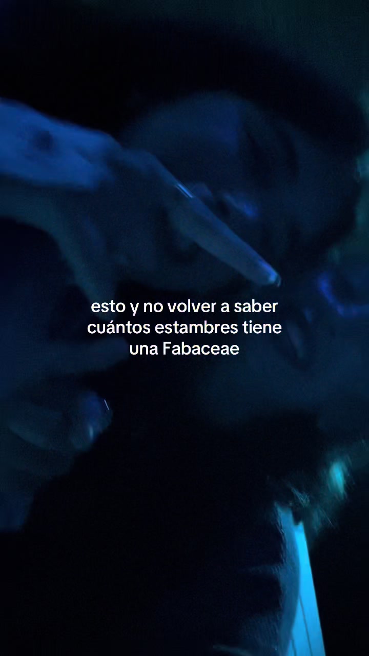 @Paulita