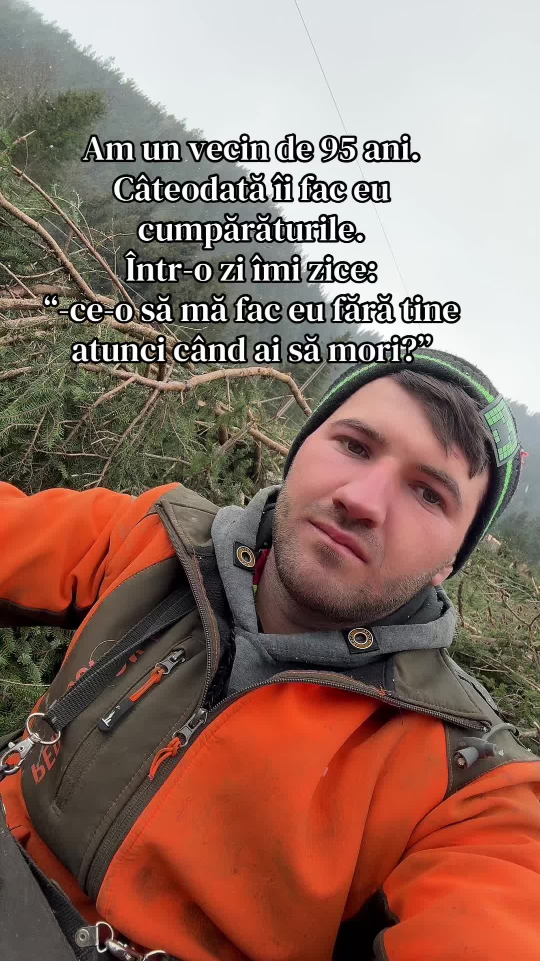 @Nicu Văsieș