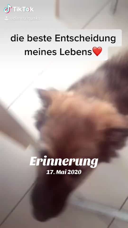@dieBesteTikTokerin_