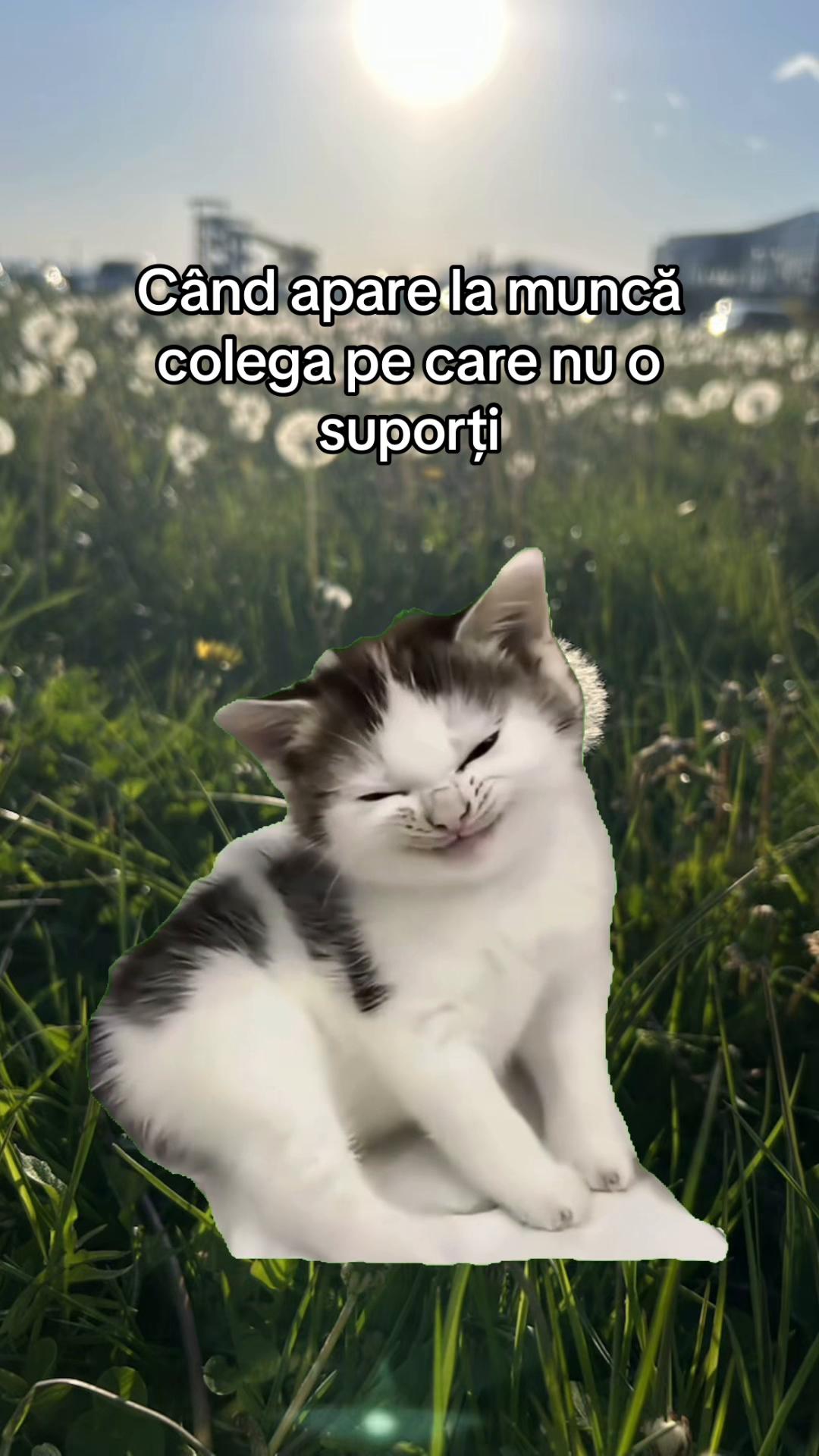 @Ioa Cosmina