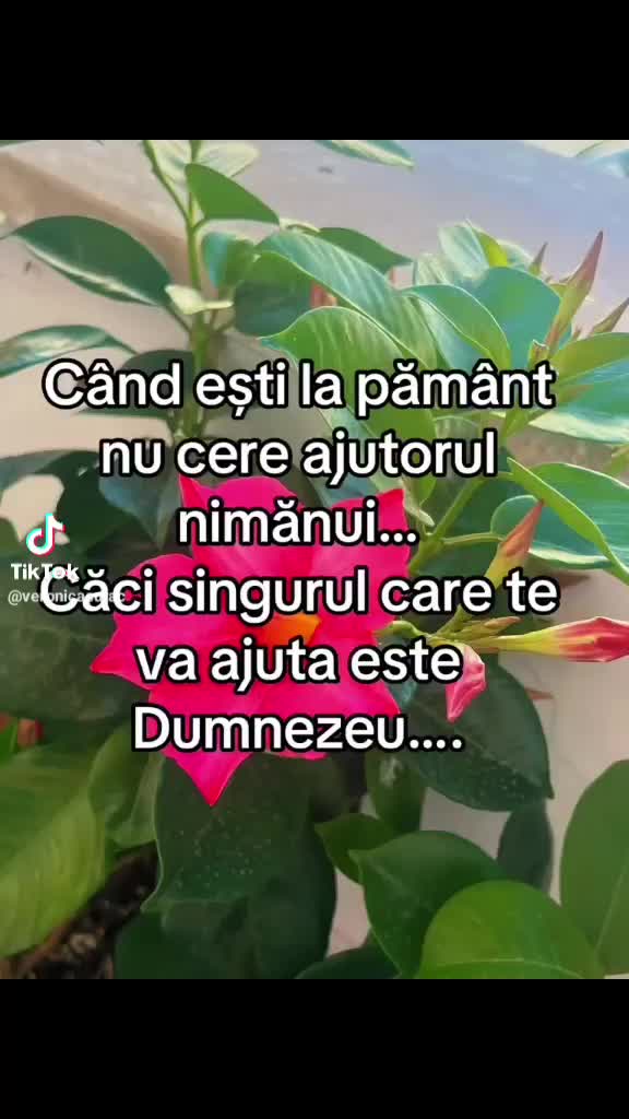 @Corina Guta