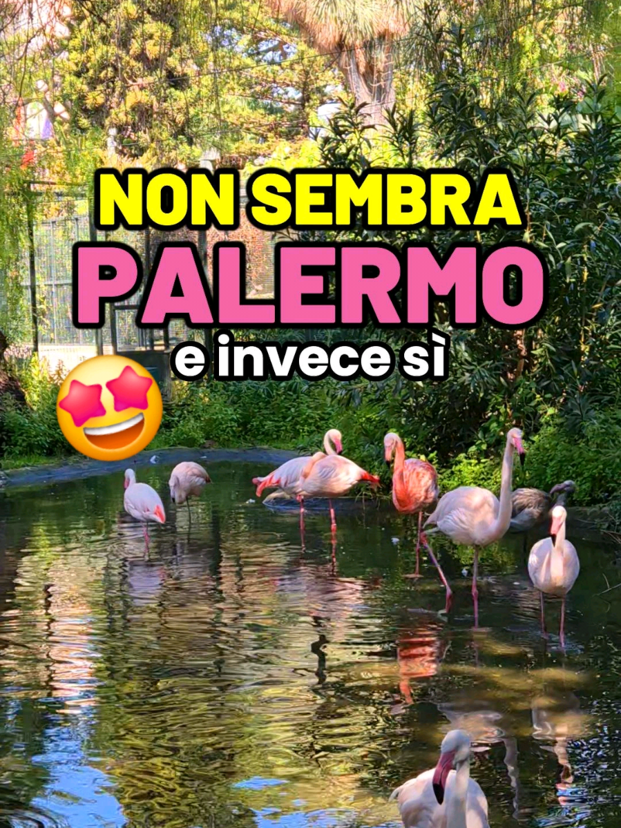 @Amore a primo viaggio