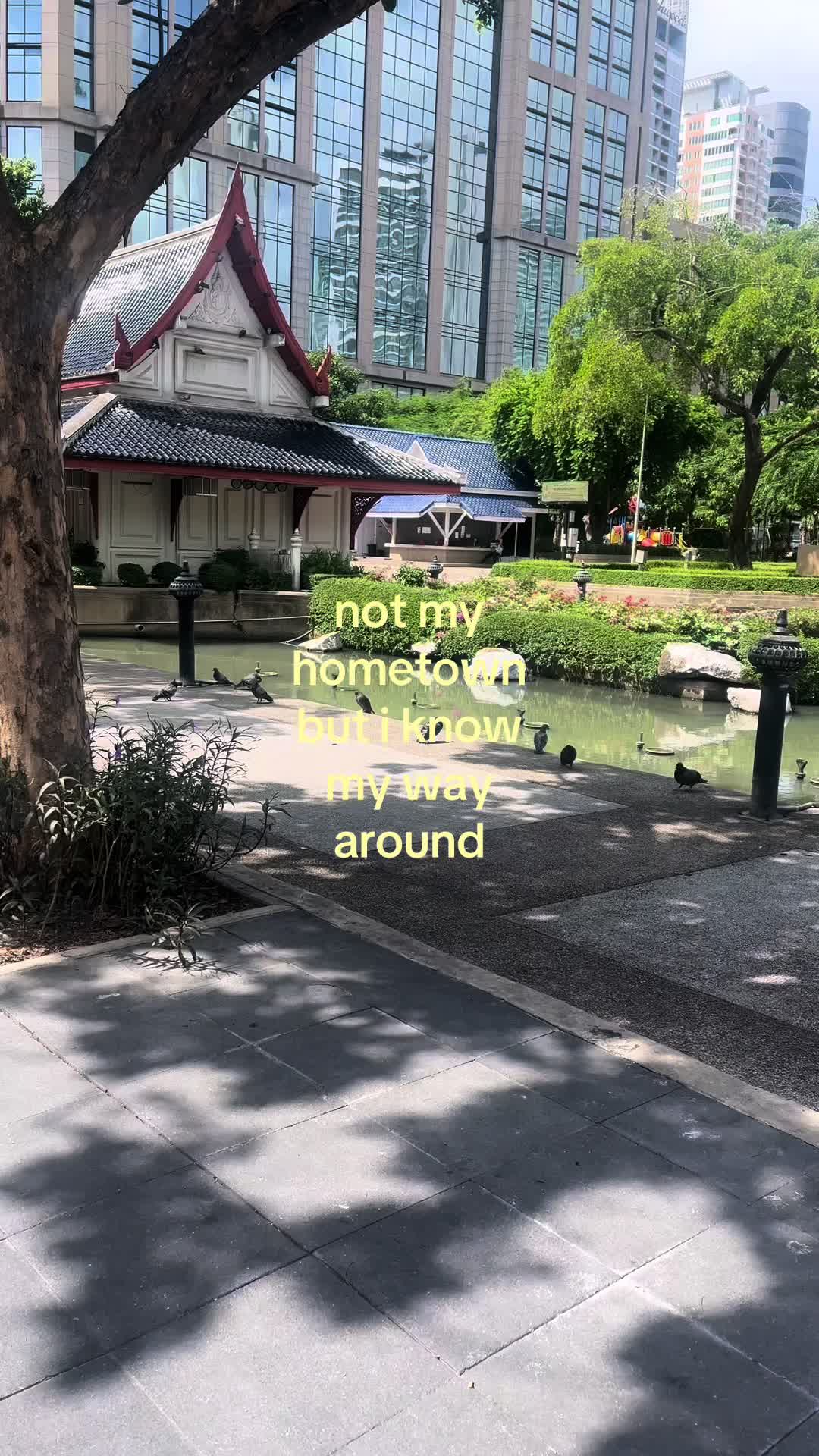 @(っ◔◡◔)っ 𝚒𝚟𝚢 ⛩️👻