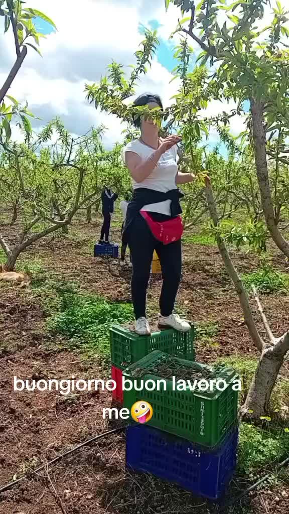 @eleonoragiuliano9