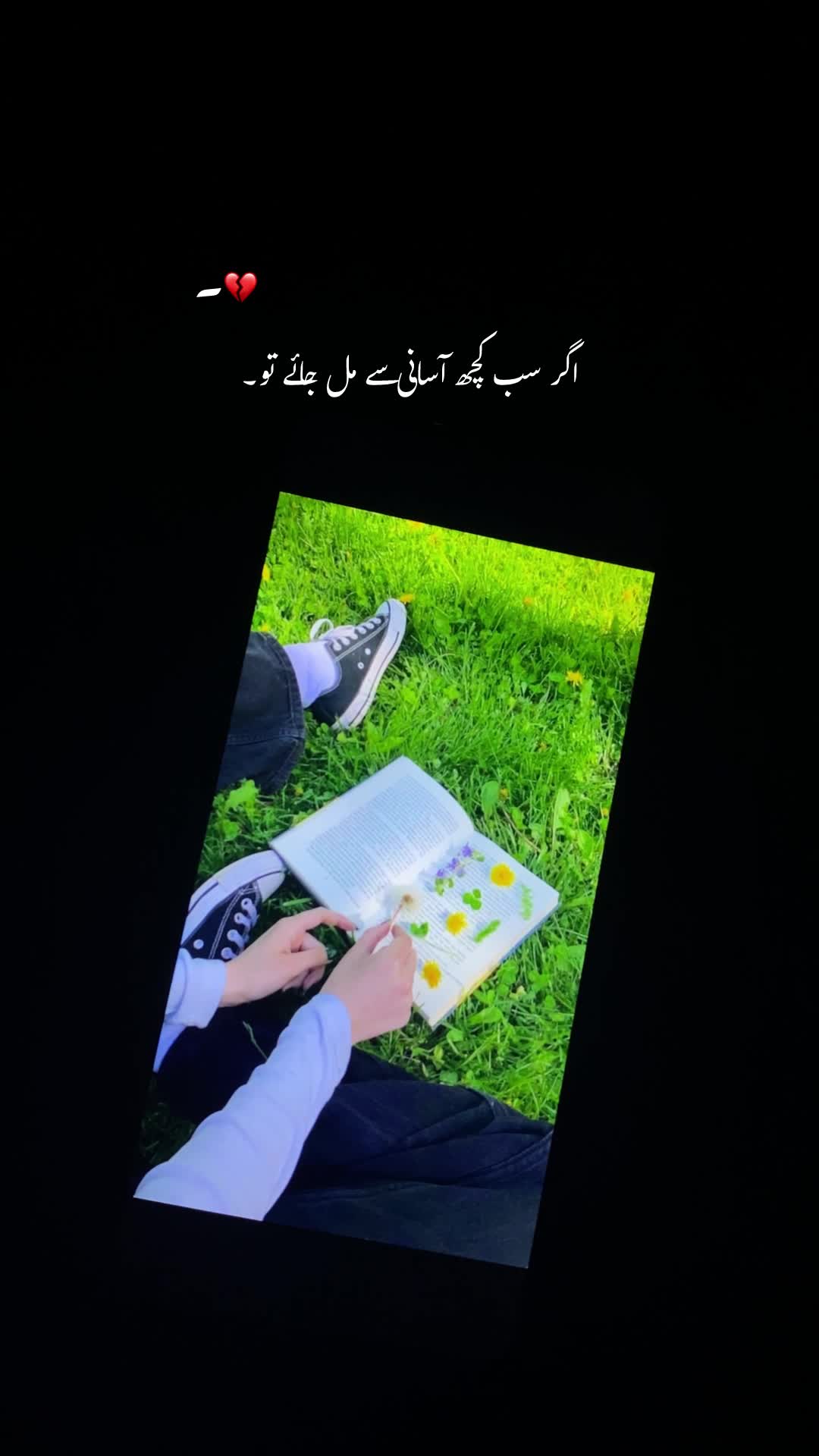 @𓆩𝐇αɴιi🚩