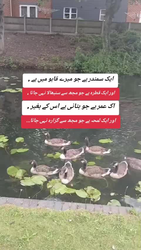 @KΛƧΣΣM.PƬI