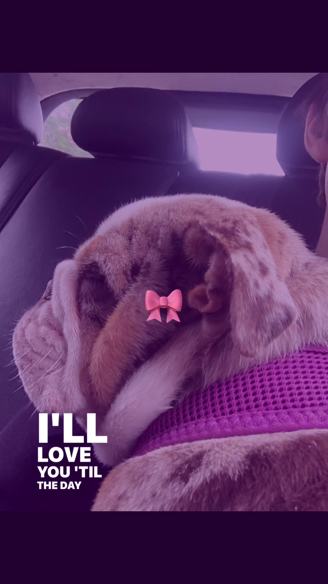 @🖕😐✌️