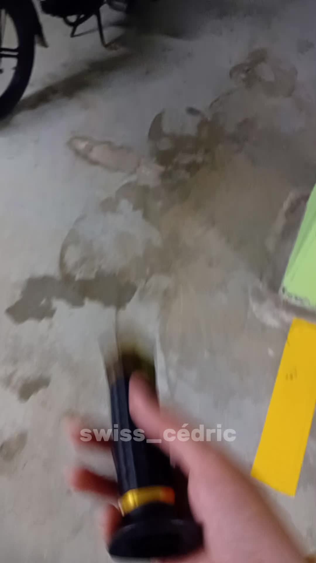 @𝓢𝔀𝓲𝓼𝓼_𝓒𝓮́𝓭𝓻𝓲𝓬