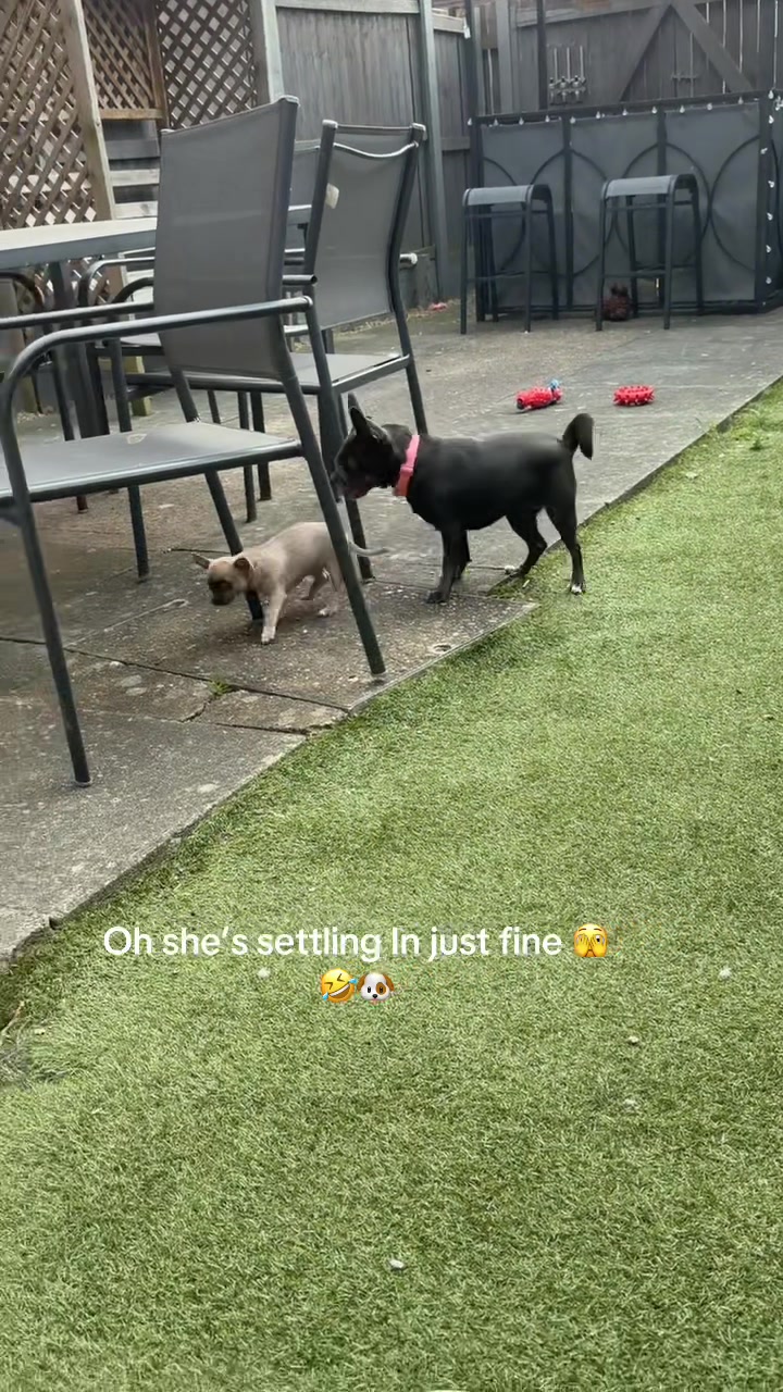 @Jenni3987