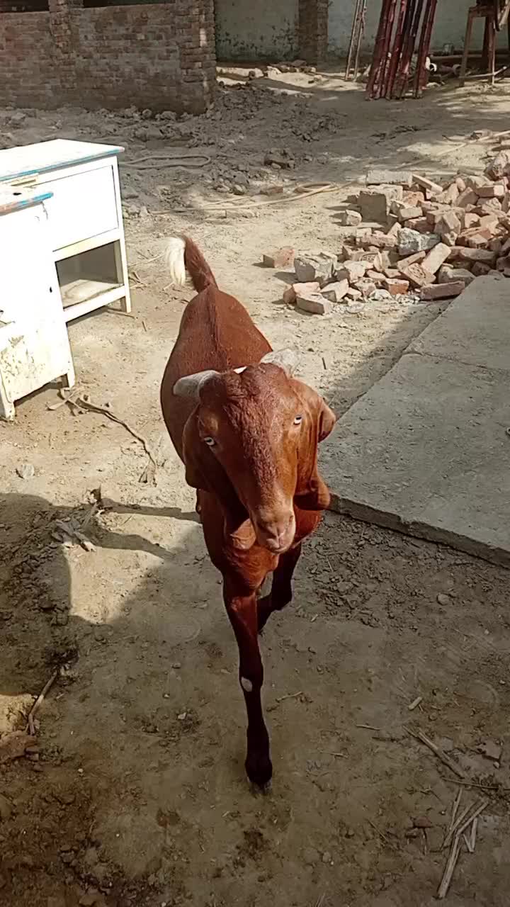 @Imran Ali