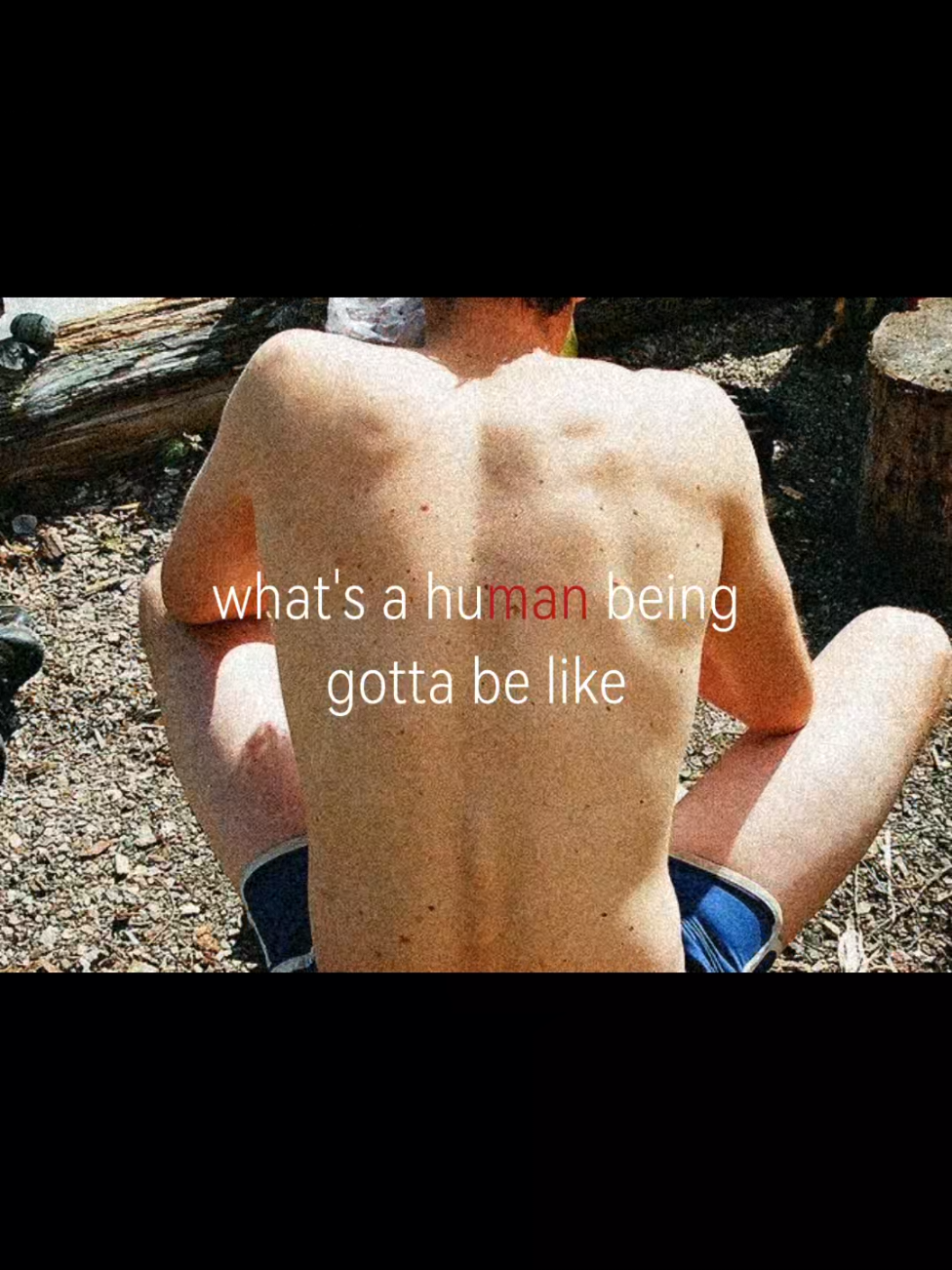 @wilz8_