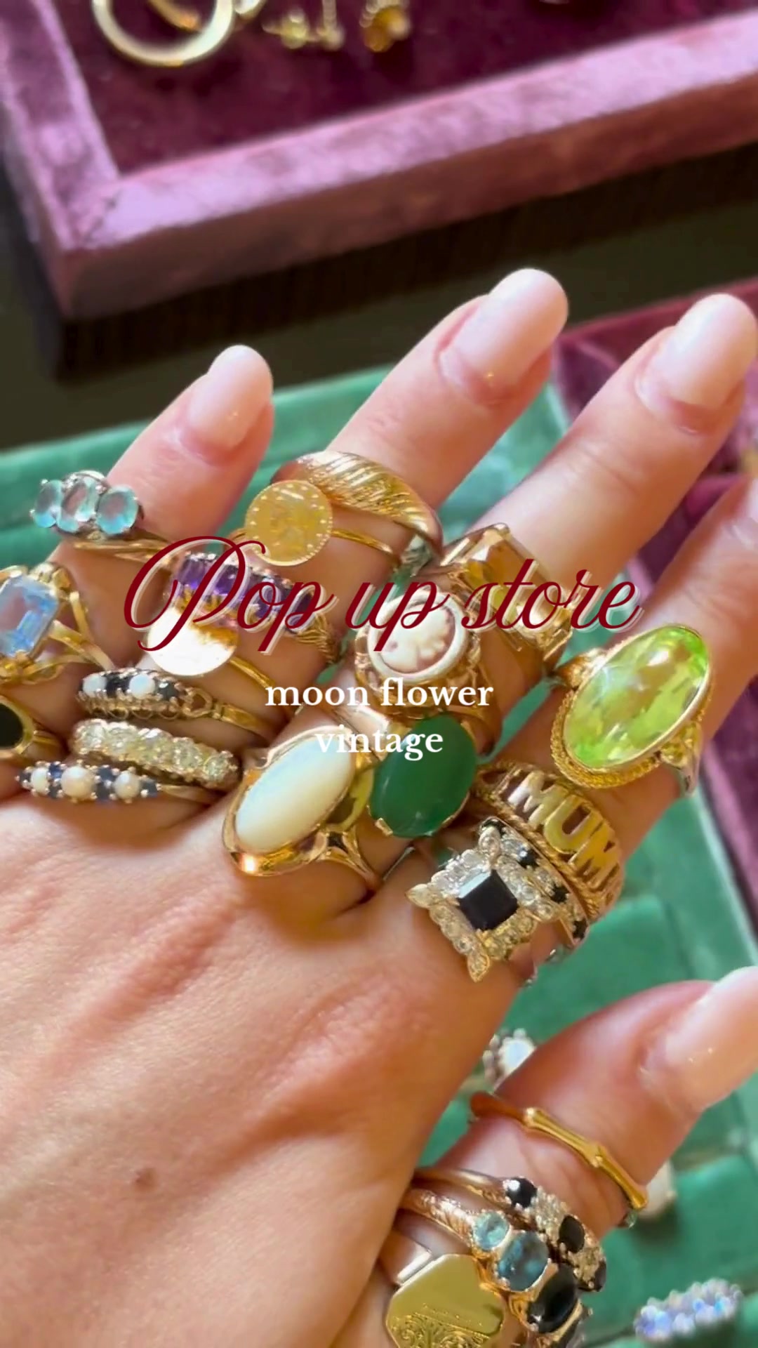 @Moon flower vintage