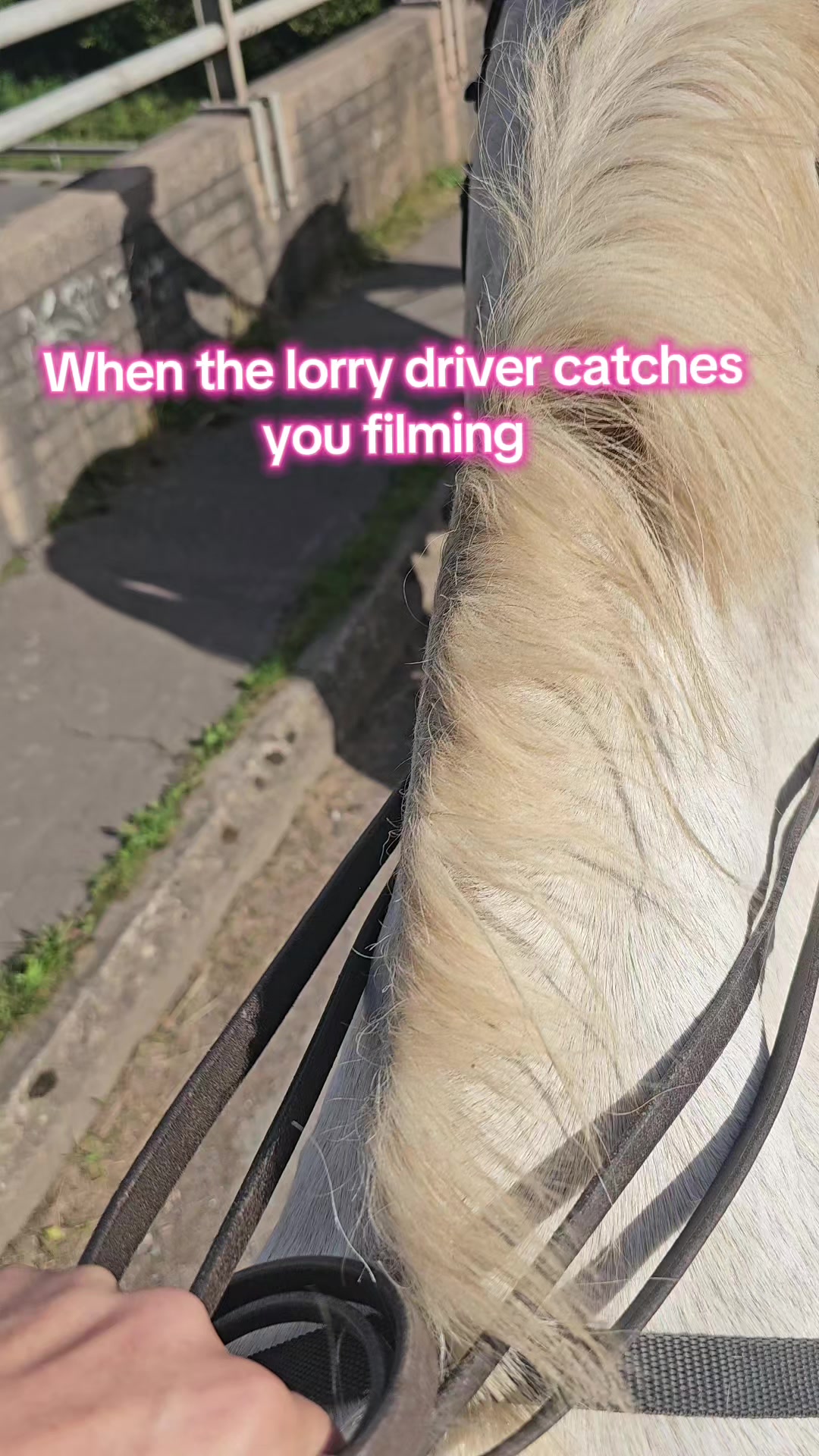 @NAT🇬🇧