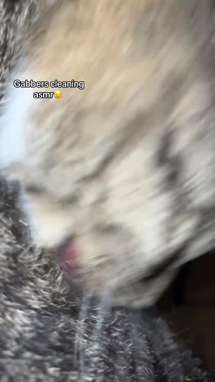@Jamie 丰