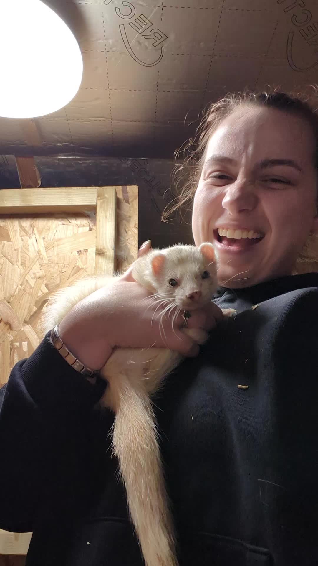 @That Crazy Ferret Lady 🐝