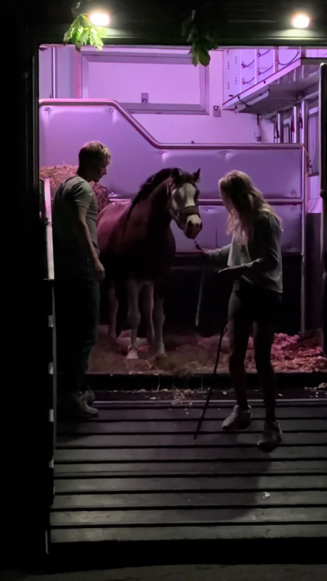 @Anais Super Pony&rsquo;s