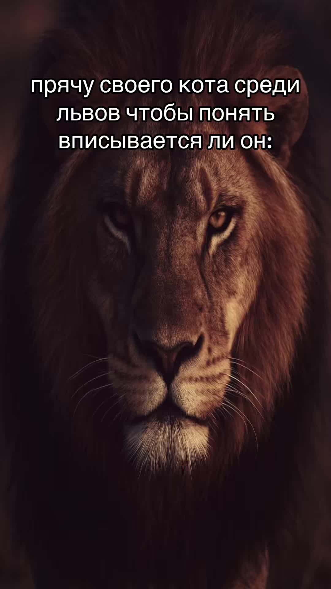 @сига