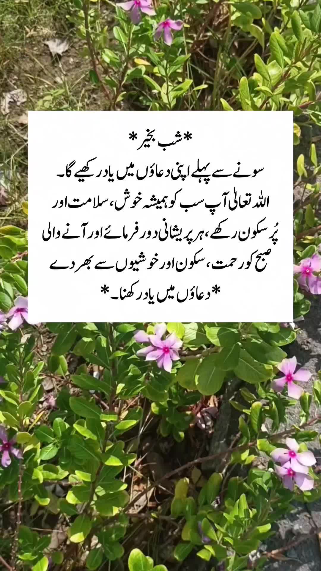 @Kainat Quotes