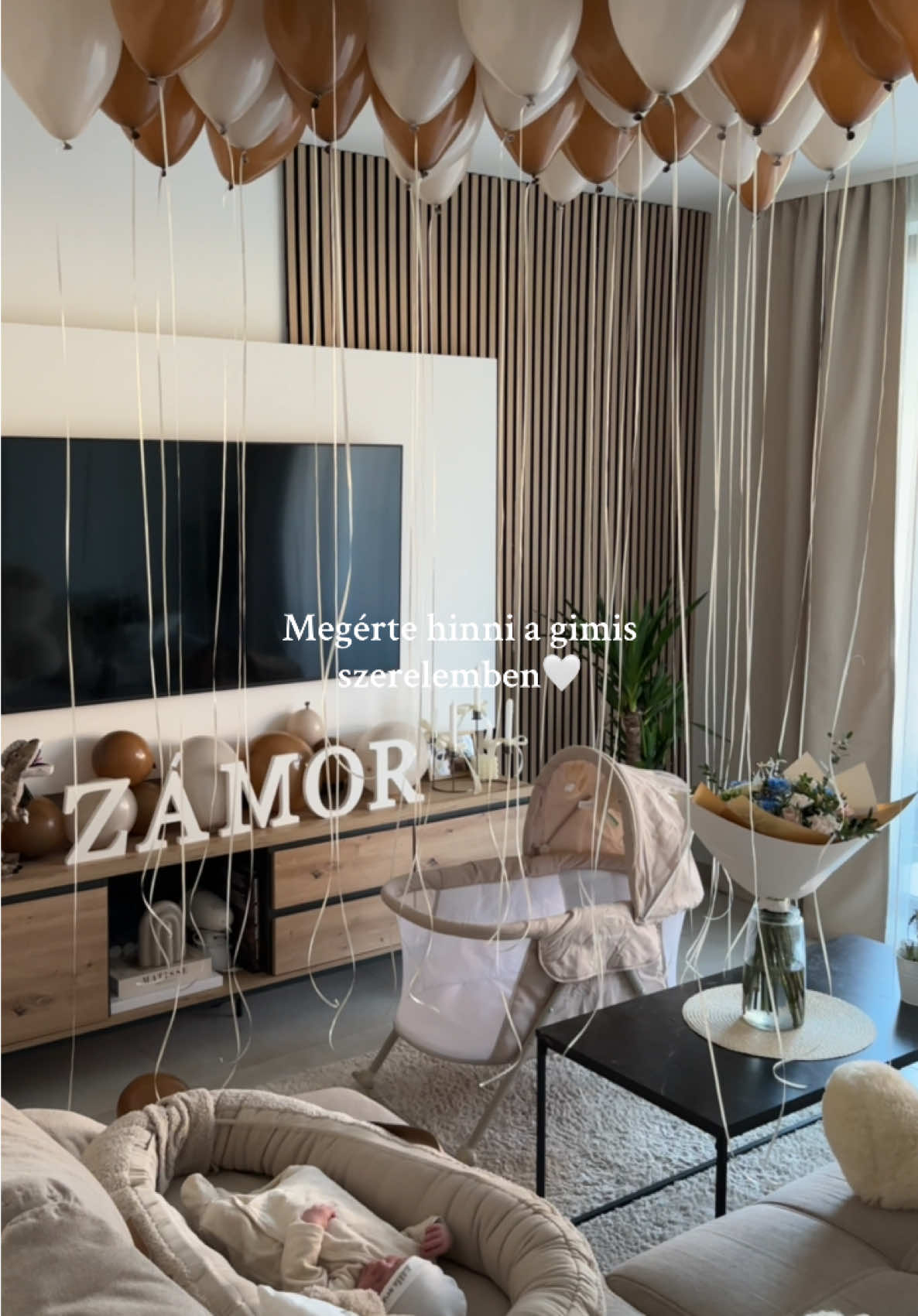 @zengomolnar
