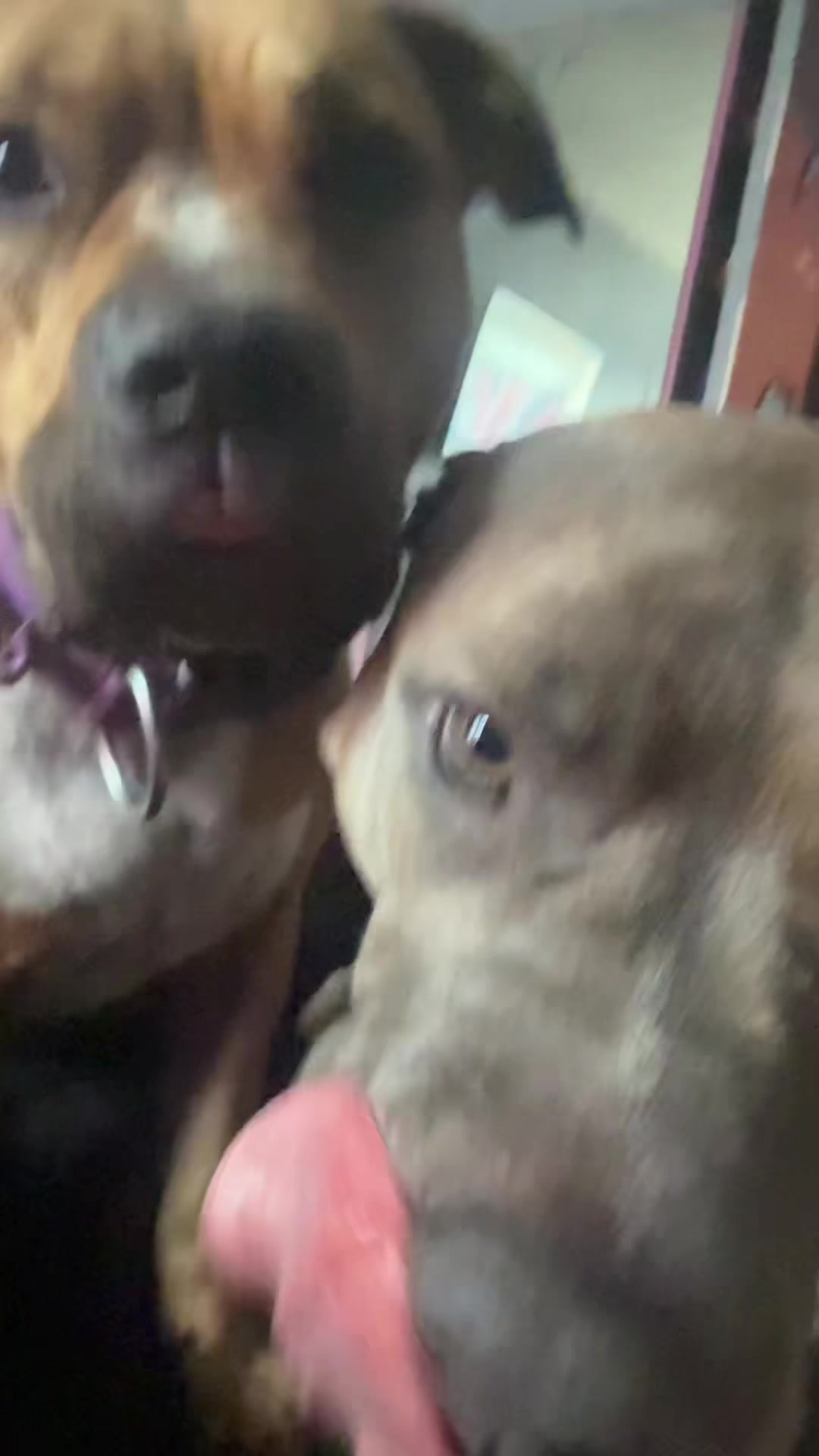 @Emz_N_her_bullies